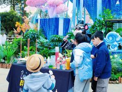 -国色天乡三期陆地乐园