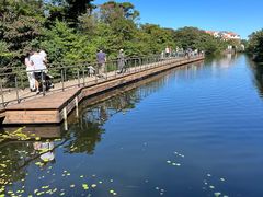 -济州森林小火车生态公园