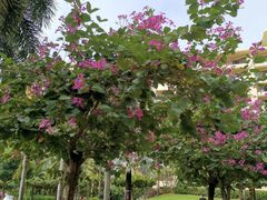 -三亚亚龙湾天域度假酒店