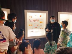 -青岛贝壳博物馆