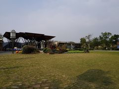 -上海长兴岛郊野公园