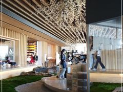 -Seesaw Coffee(朝阳大悦城店)