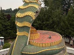 -洛阳白马寺