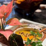 大户人家小伙伴带我见识了一下什么叫仪式感[调皮]