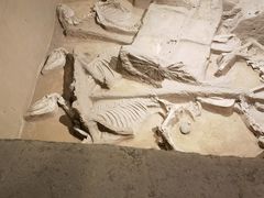 -洛阳周王城天子驾六博物馆