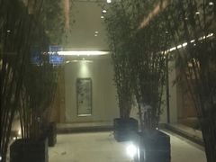 -河源万绿湖美思威尔顿酒店