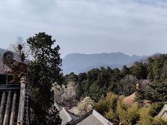 -潭柘寺景区