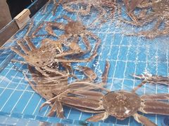 -新丁香海鲜酒店(银海商贸城店)