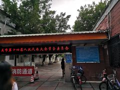 -金砂公园