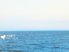 -东疆建设开发纪念公园