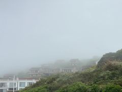 -枸杞岛