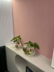 -万福娃儿童摄影(南门店)