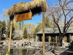 -三忘湖 SWANSEEN(柳荫公园店)