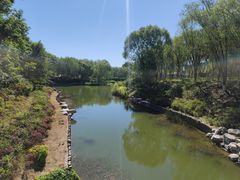 -大兴滨河森林公园