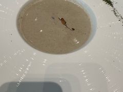 -菲住布渴全日制餐厅·简餐·下午茶·蛋糕