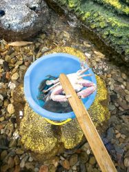 -钓虾工场·钓虾·赶海(回龙观店)