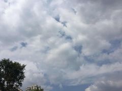 -济南市胜利大街小学