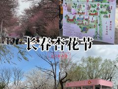 -吉林大学(南岭校区)