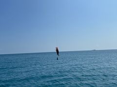 -小猫钓鱼海钓俱乐部(椰梦长廊店)