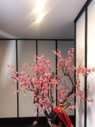 -盘子女人坊生日照·摄影馆(浦东店)