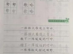 -赵汝飞练字硬笔书法(三林浦三路校区)