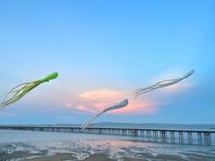 -巨鹏飞梦幻海岸