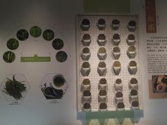 -中国茶叶博物馆(双峰馆区)
