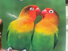 -禾府酒家·传统广府味(番禺店)