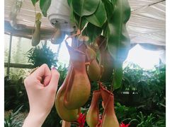 -金陵花卉交易市场