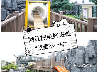 宝宝喜欢的恐龙乐园，超赞！