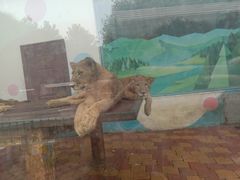 -大连森林动物园