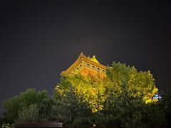 -迎泽公园