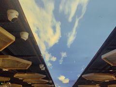 -野妹火锅(北京路店)