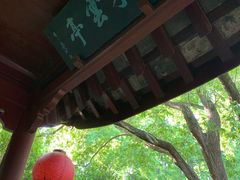 -上海醉白池公园