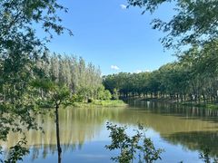-东郊湿地公园