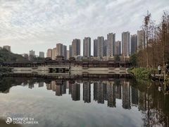-重庆彩云湖湿地公园
