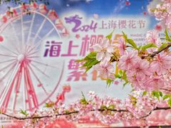 -顾村公园