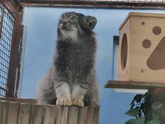 -青藏高原野生动物园