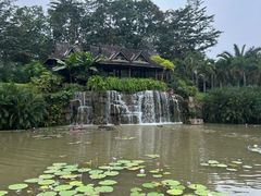 -中国科学院西双版纳热带植物园