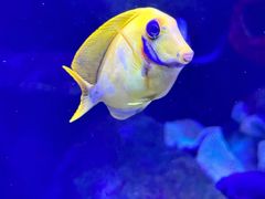 -沈阳海洋探索中心