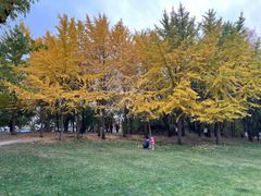 -元大都城垣遗址公园