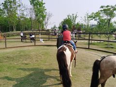 -上海长兴岛郊野公园