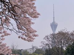 -红星桥(地铁站)