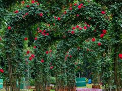 -人民公园(罗湖区)