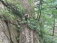 -崂山巨峰游览区