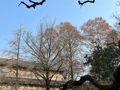 -灵谷景区