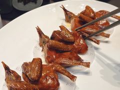 -福宴·现代粤菜(星光国际广场店)