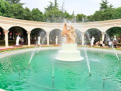 -洛阳郁金香牡丹园