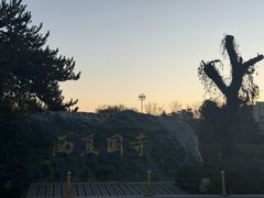 -张掖大佛寺景区