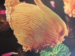 -锦江宾馆-花园餐厅